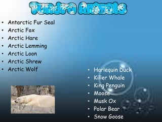 •   Antarctic Fur Seal
•   Arctic Fox
•   Arctic Hare
•   Arctic Lemming
•   Arctic Loon
•   Arctic Shrew
•   Arctic Wolf          •   Harlequin Duck
                         •   Killer Whale
                         •   King Penguin
                         •   Moose
                         •   Musk Ox
                         •   Polar Bear
                         •   Snow Goose
 