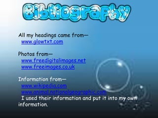 All my headings came from—
 www.glowtxt.com

Photos from—
 www.freedigitalimages.net
 www.freeimages.co.uk

Information from—
  www.wikipedia.com
  www.animal.nationalgeographic.com
  I used their information and put it into my own
information.
 