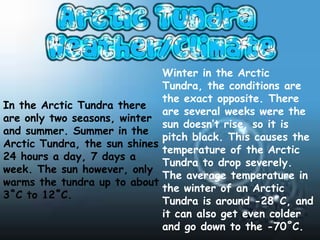 Winter in the Arctic
                                Tundra, the conditions are
                                the exact opposite. There
In the Arctic Tundra there
                                are several weeks were the
are only two seasons, winter
                                sun doesn’t rise, so it is
and summer. Summer in the
                                pitch black. This causes the
Arctic Tundra, the sun shines
                                temperature of the Arctic
24 hours a day, 7 days a
                                Tundra to drop severely.
week. The sun however, only
                                The average temperature in
warms the tundra up to about
                                the winter of an Arctic
3˚C to 12˚C.
                                Tundra is around -28˚C, and
                                it can also get even colder
                                and go down to the -70˚C.
 