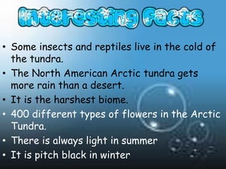 • Some insects and reptiles live in the cold of
  the tundra.
• The North American Arctic tundra gets
  more rain than a desert.
• It is the harshest biome.
• 400 different types of flowers in the Arctic
  Tundra.
• There is always light in summer
• It is pitch black in winter
 