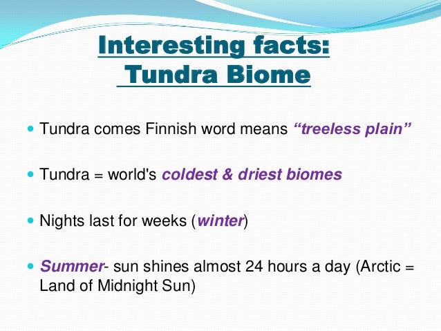facts about the tundra