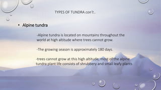 • Alpine tundra
-Alpine tundra is located on mountains throughout the
world at high altitude where trees cannot grow.
-The growing season is approximately 180 days.
-trees cannot grow at this high altitude, most of the alpine
tundra plant life consists of shrubbery and small leafy plants
TYPES OF TUNDRA con’t..
 