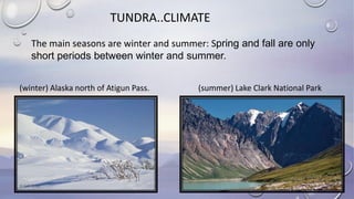 TUNDRA..CLIMATE
The main seasons are winter and summer: Spring and fall are only
short periods between winter and summer.
(winter) Alaska north of Atigun Pass. (summer) Lake Clark National Park
 
