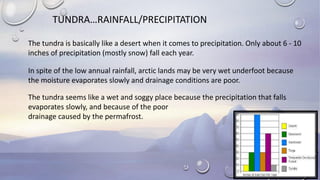 TUNDRA…RAINFALL/PRECIPITATION
The tundra is basically like a desert when it comes to precipitation. Only about 6 - 10
inches of precipitation (mostly snow) fall each year.
In spite of the low annual rainfall, arctic lands may be very wet underfoot because
the moisture evaporates slowly and drainage conditions are poor.
The tundra seems like a wet and soggy place because the precipitation that falls
evaporates slowly, and because of the poor
drainage caused by the permafrost.
 