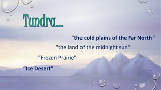 “the cold plains of the Far North ”
“Ice Desert”
“Frozen Prairie”
"the land of the midnight sun"
 