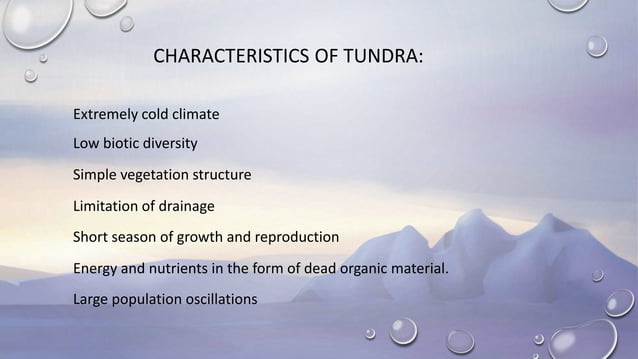 Tundra Biome   Tundra Biome 3 638 