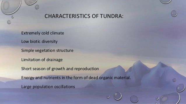 tundra characteristic