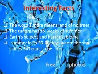    The word Tundra means land of no trees
   The tundra has six weeks of summer
   Earth’s coldest and harshest biome
    summer lasts 50-60 days where the sun
    shines 24 hours a day
 