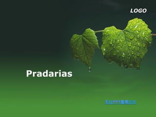 LOGO




Pradarias
 