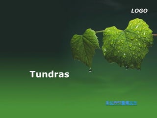 LOGO




Tundras
 