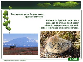 Tem a presença de fungos, ervas,
                      liquens e arbustos.
                                            Somente na época do verão tem a
                                             presença de animais que buscam
                                           alimento, como as renas, lebres do
                                       ártico, lemingues e bois almiscarados.




http://user.qzone.qq.com/379538905
                                                                   LOGO
 