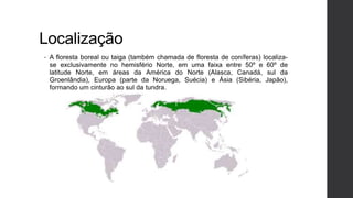 Tundra: características, vegetação, clima, fauna - Brasil Escola