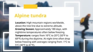 SLIDESMANIA
Alpine tundra
Location: High mountain regions worldwide,
above the tree line due to extreme altitude.
Growing Season: Approximately 180 days, with
nighttime temperatures often below freezing.
Temperature: ranges from 10°C to 20°C (50°F to
68°F) during the daytime. At night time often drop
below freezing with averages ranging from -1°C to
5°C (30°F to 41°F).
 