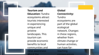 SLIDESMANIA
Tourism and
Education: Tundra
ecosystems attract
tourists interested
in experiencing
unique and
pristine
landscapes. This
tourism can
provide economic
benefits to local
communities and
raise awareness
Global
Connectivity:
Tundra
ecosystems are
part of the global
ecological
network. Changes
in these regions,
whether from
climate change or
human activities,
can have far-
reaching
 