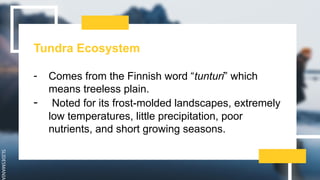 SLIDESMANIA
Tundra Ecosystem
- Comes from the Finnish word “tunturi” which
means treeless plain.
- Noted for its frost-molded landscapes, extremely
low temperatures, little precipitation, poor
nutrients, and short growing seasons.
 