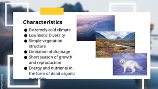SLIDESMANIA
Characteristics
● Extremely cold climate
● Low Biotic Diversity
● Simple vegetation
structure
● Limitation of drainage
● Short season of growth
and reproduction
● Energy and nutrients in
the form of dead organic
materials
 