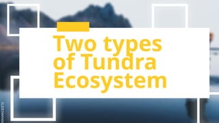 SLIDESMANIA
Two types
of Tundra
Ecosystem
 
