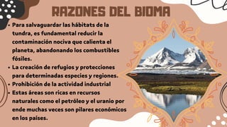 RAZONES DEL BIOMA
Para salvaguardar las hábitats de la
tundra, es fundamental reducir la
contaminación nociva que calienta el
planeta, abandonando los combustibles
fósiles.
La creación de refugios y protecciones
para determinadas especies y regiones.
Prohibición de la actividad industrial
Estas áreas son ricas en recursos
naturales como el petróleo y el uranio por
ende muchas veces son pilares económicos
en los países.
 