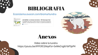 Ecosistema.ovacen.com/bioma/tundra
BIBLIOGRAFIA
Anexos
Video sobre la tundra
https://youtu.be/lFFF3fCGNq4?si=3xMeCngl61bP3pP4
 