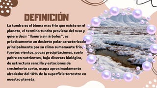 DEFINICIÓN
La tundra es el bioma mas frio que existe en el
planeta, el termino tundra proviene del ruso y
quiere decir "llanura sin árboles", es
prácticamente un desierto polar caracterizado
principalmente por su clima sumamente frío,
fuertes vientos, pocas precipitaciones, suelo
pobre en nutrientes, baja diversas biológica,
de estructura sencilla y estaciones de
crecimiento corto, ocupa aproximadamente
alrededor del 10% de la superficie terrestre en
nuestro planeta.
 