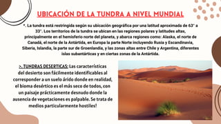 UBICACIÓN DE LA TUNDRA A NIVEL MUNDIAL
*. La tundra está restringida según su ubicación geográfica por una latitud aproximada de 63° a
33°. Los territorios de la tundra se ubican en las regiones polares y latitudes altas,
principalmente en el hemisferio norte del planeta, y abarca regiones como: Alaska, el norte de
Canadá, el norte de la Antártida, en Europa la parte Norte incluyendo Rusia y Escandinavia,
Siberia, Islandia, la parte sur de Groenlandia, y las zonas altas entre Chile y Argentina, diferentes
islas subantárticas y en ciertas zonas de la Antártida.
>. TUNDRAS DESERTICAS: Las características
del desierto son fácilmente identificables al
corresponder a un suelo árido donde en realidad,
el bioma desértico es el más seco de todos, con
un paisaje prácticamente desnudo donde la
ausencia de vegetaciones es palpable. Se trata de
medios particularmente hostiles!
 