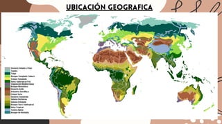 UBICACIÓN GEOGRAFICA
 