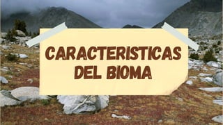CARACTERISTICAS
DEL BIOMA
 