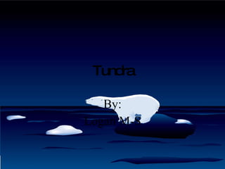 Tundra By: Logan M-S 