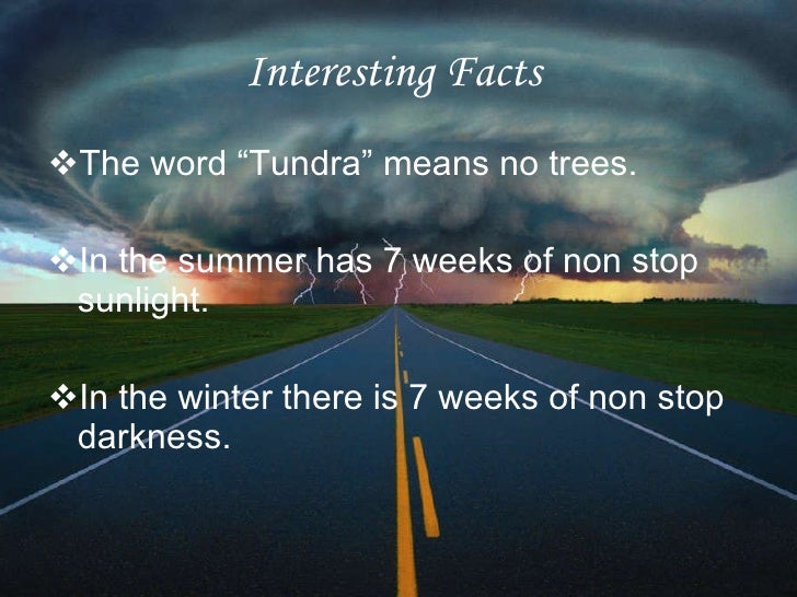 facts about the tundra