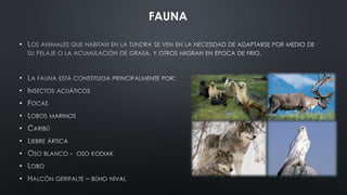 FAUNA
•
•
•
•
•
•
•
•
•
•