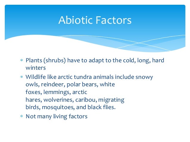 Tundra Powerpoint - B.C. Science 10 Ecology