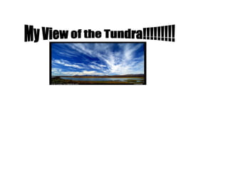 My View of the Tundra!!!!!!!!! 
