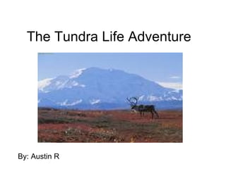 The Tundra Life Adventure By: Austin R 