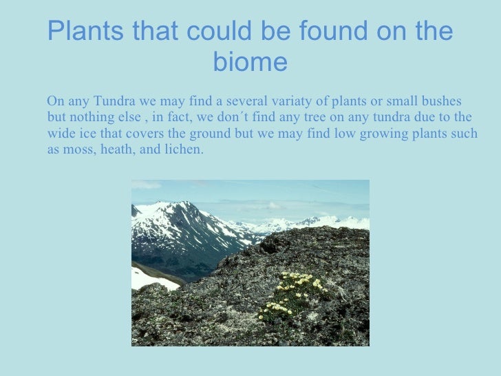 antarctic biome The antarctic ecosystem research division ( aerd) conducts research to fulfill noaa's mandate of providing scientific advice that. antarctic biome The antarctic ecosystem research division ( aerd) conducts research to fulfill noaa's mandate of providing scientific advice that.