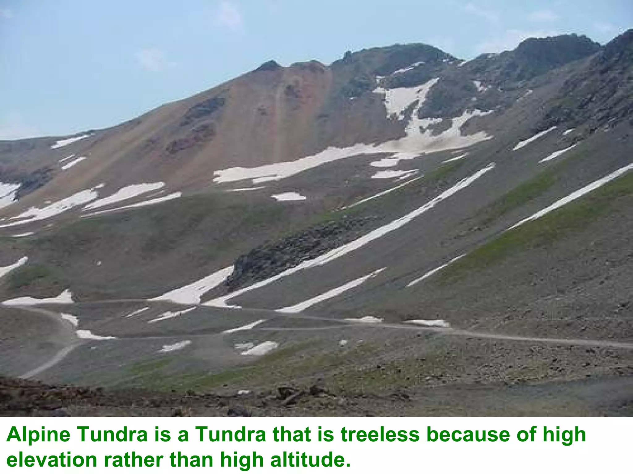 Alpine Tundra is a Tundra that is treeless because of high elevation rather than high altitude. 
