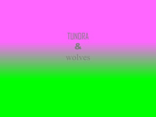 TUNDRA
  &
wolves
 