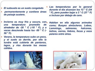  El subsuelo es un suelo congelado
 permanentemente y contiene áreas
de paisaje austero.
 Invierno es muy frío y oscuro, con
una temperatura promedio de
alrededor de -28 ° C (-18 ° F), y a
veces desciende hasta los -50 ° C (-
58 ° F).
 Verano, la temperatura sube un poco,
y el suelo se derrite, por ello la
tundra está cubierta de pantanos,
lagos, y ríos durante los meses
cálidos.
 Las temperaturas por lo general
durante el día alcanzan los 12 ° C (54
° F), pero pueden bajar a 3 ° C (37 ° F)
o incluso por debajo de cero.
 Habitan en ella algunos animales
como; Bueyes almizcleros, Lobos,
Lemmings, salmones, halcones,
búhos, zorros, liebres, focas y osos
polares entre otros.
 