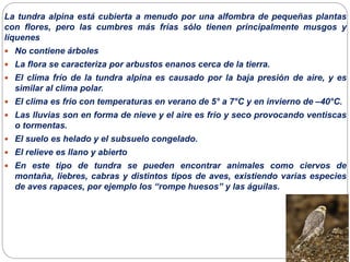 La tundra alpina está cubierta a menudo por una alfombra de pequeñas plantas
con flores, pero las cumbres más frías sólo tienen principalmente musgos y
líquenes
 No contiene árboles
 La flora se caracteriza por arbustos enanos cerca de la tierra.
 El clima frío de la tundra alpina es causado por la baja presión de aire, y es
similar al clima polar.
 El clima es frio con temperaturas en verano de 5° a 7°C y en invierno de –40°C.
 Las lluvias son en forma de nieve y el aire es frio y seco provocando ventiscas
o tormentas.
 El suelo es helado y el subsuelo congelado.
 El relieve es llano y abierto
 En este tipo de tundra se pueden encontrar animales como ciervos de
montaña, liebres, cabras y distintos tipos de aves, existiendo varias especies
de aves rapaces, por ejemplo los “rompe huesos” y las águilas.
 
