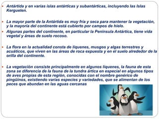  Antártida y en varias islas antárticas y subantárticas, incluyendo las Islas
Kerguelen.
 La mayor parte de la Antártida es muy fría y seca para mantener la vegetación,
y la mayoría del continente está cubierto por campos de hielo.
 Algunas partes del continente, en particular la Península Antártica, tiene vida
vegetal y áreas de suelo rocoso.
 La flora en la actualidad consta de líquenes, musgos y algas terrestres y
acuáticos, que viven en las áreas de roca expuesta y en el suelo alrededor de la
orilla del continente.
 La vegetación consiste principalmente en algunos líquenes, la fauna de esta
zona se diferencia de la fauna de la tundra ártica en especial en algunos tipos
de aves propias de esta región, conocidas con el nombre genérico de
pingüinos, existiendo varias especies y variedades, que se alimentan de los
peces que abundan en las aguas cercanas
 