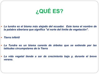 ¿QUÉ ES?
 La tundra es el bioma más alejado del ecuador. Este toma el nombre de
la palabra siberiana que significa "al norte del limite de vegetación".
 Tierra infértil
 La Tundra es un bioma carente de árboles que se extiende por las
latitudes circumpolares de la Tierra
 La vida vegetal tiende a ser de crecimiento bajo y, durante el breve
verano.
 