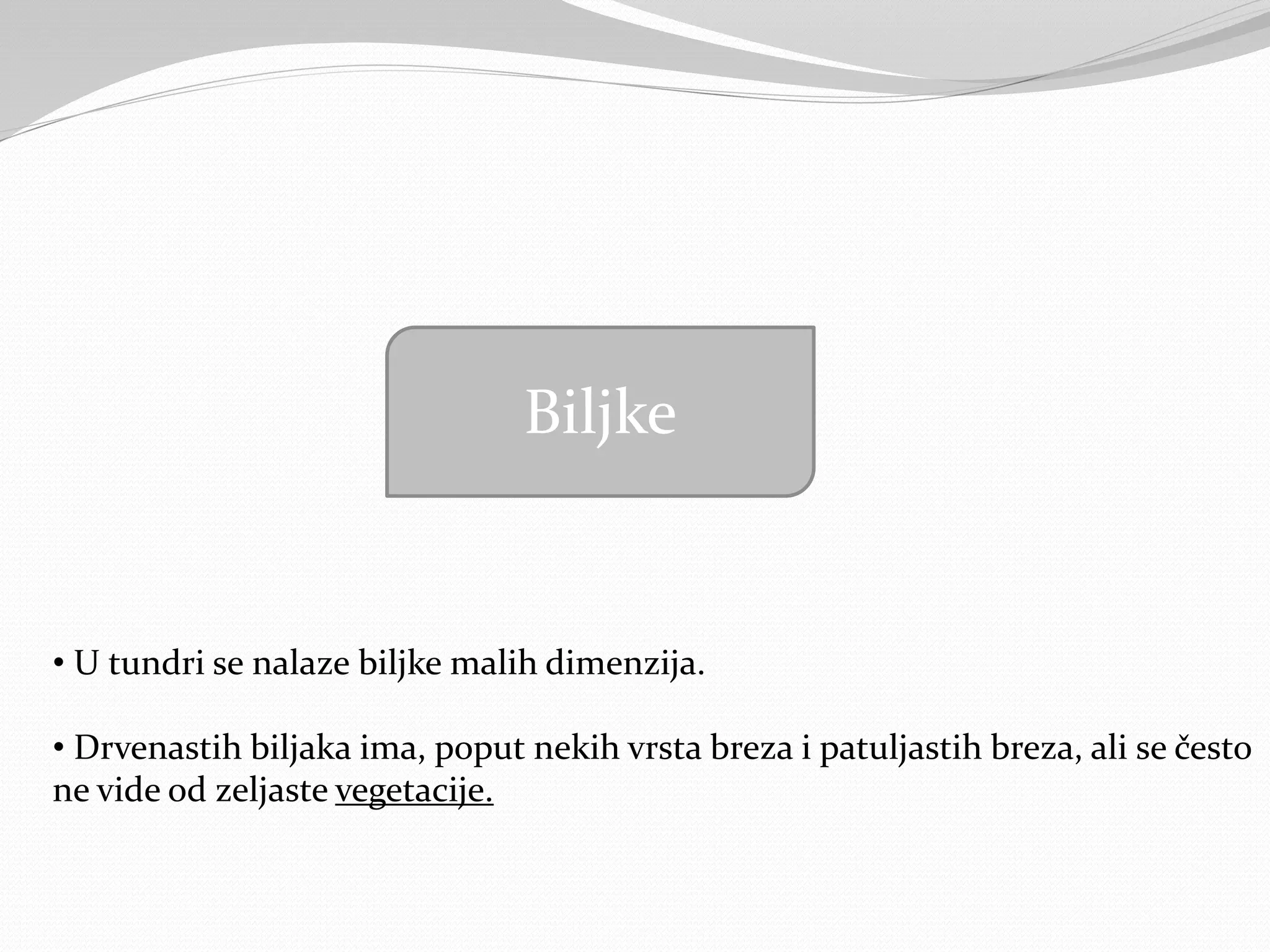 Biljke
• U tundri se nalaze biljke malih dimenzija.
• Drvenastih biljaka ima, poput nekih vrsta breza i patuljastih breza, ali se često
ne vide od zeljaste vegetacije.
 