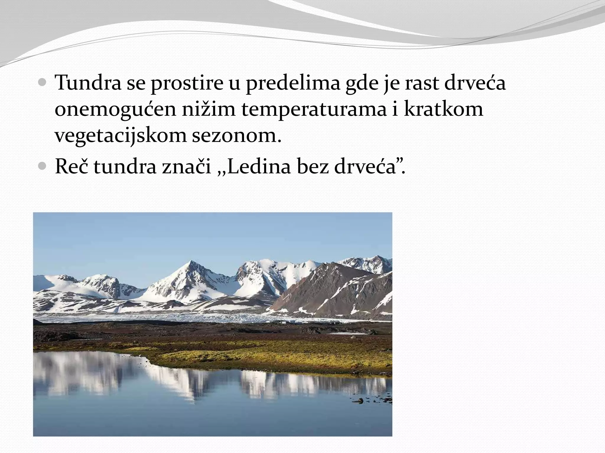  Tundra se prostire u predelima gde je rast drveća
onemogućen nižim temperaturama i kratkom
vegetacijskom sezonom.
 Reč tundra znači ‚‚Ledina bez drveća”.
 