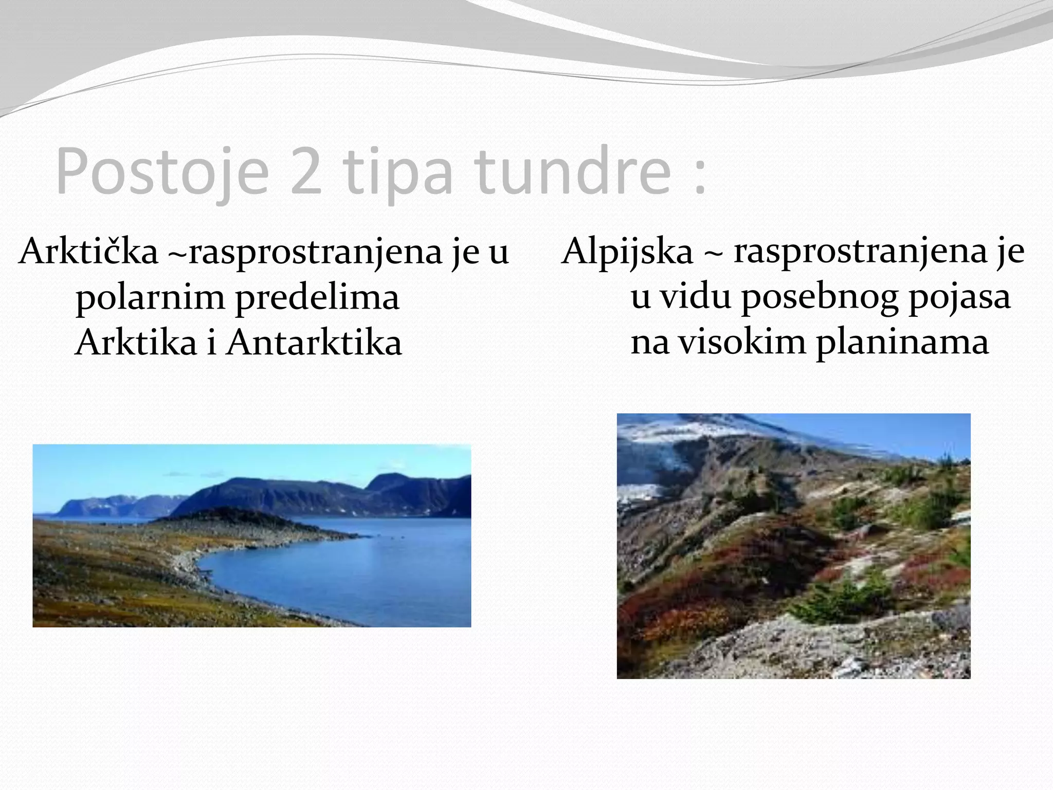 Postoje 2 tipa tundre :
~rasprostranjena je u
polarnim predelima
Arktika i Antarktika
~ rasprostranjena je
u vidu posebnog pojasa
na visokim planinama
Arktička Alpijska
 