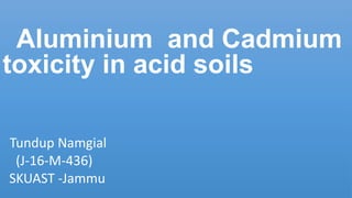 Aluminium and Cadmium
toxicity in acid soils
Tundup Namgial
(J-16-M-436)
SKUAST -Jammu
 
