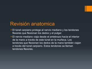 Revisión anatomica
 El túnel carpiano protege al nervio mediano y los tendones
  flexores que flexionan los dedos y el pulgar.
 El nervio mediano viaja desde el antebrazo hacia el interior
  de la mano a través de este túnel en la muñeca. Los
  tendones que flexionan los dedos de la mano también viajan
  a través del túnel carpiano. Estos tendones se llaman
  tendones flexores.
 