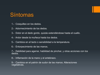 Síntomas
1.- Cosquilleo en los dedos.
2.- Adormecimiento de los dedos.
3.- Dolor en el dedo gordo, quizás extendiéndose hasta el cuello.
4.- Ardor desde la muñeca hasta los dedos.
5.- Cambios en el tacto o sensibilidad a la temperatura.
6.- Entorpecimiento de las manos.
7.- Debilidad para agarrar, habilidad de pinchar, y otras acciones con los
dedos.
8.- Inflamación de la mano y el antebrazo.
9.- Cambios en el patrón de sudor de las manos. Alteraciones
vegetativas.
 