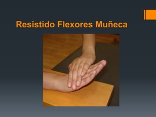 Resistido Flexores Muñeca
 