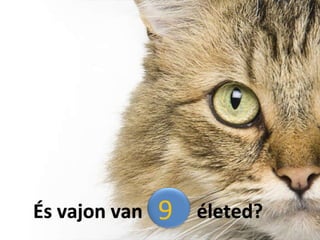 És vajon van  7  életed?  9  