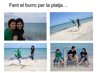 Fent el burro  per la platja… 