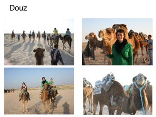 Douz 